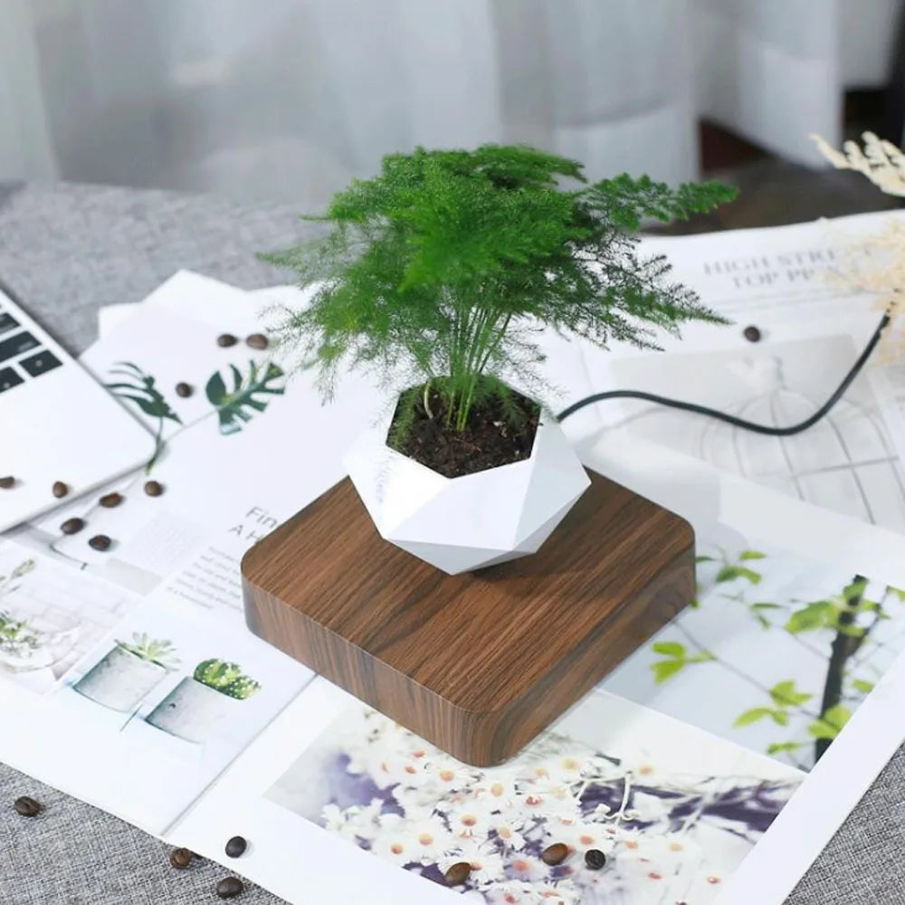 Wiszacy doniczka bonsai, magnetyczna roślinna zawieszka